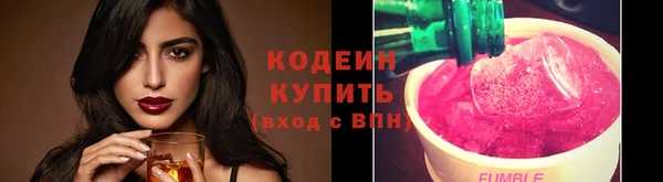 ГАЛЛЮЦИНОГЕННЫЕ ГРИБЫ Семёнов