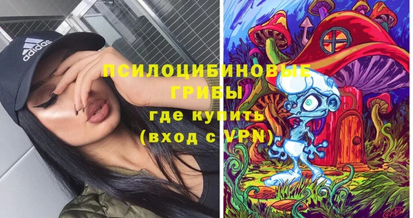 ГАЛЛЮЦИНОГЕННЫЕ ГРИБЫ Семёнов