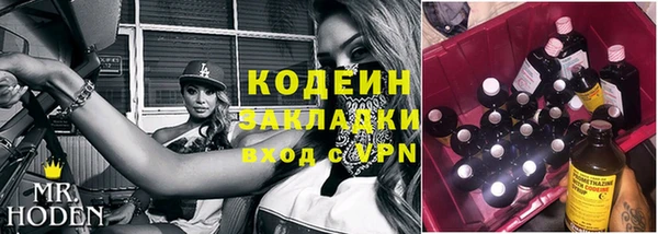 ГАЛЛЮЦИНОГЕННЫЕ ГРИБЫ Семёнов