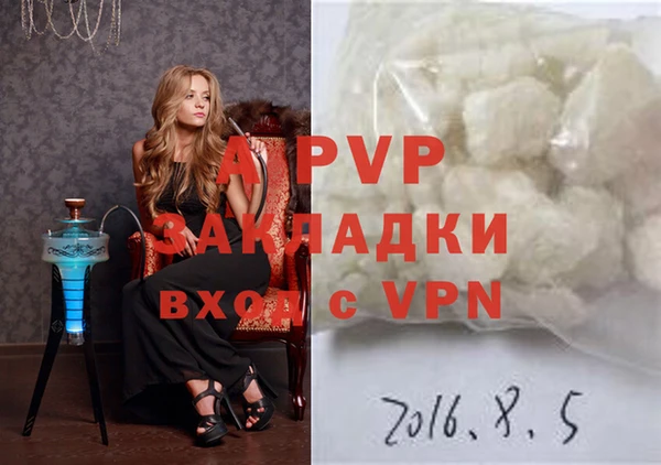 ГАЛЛЮЦИНОГЕННЫЕ ГРИБЫ Семёнов