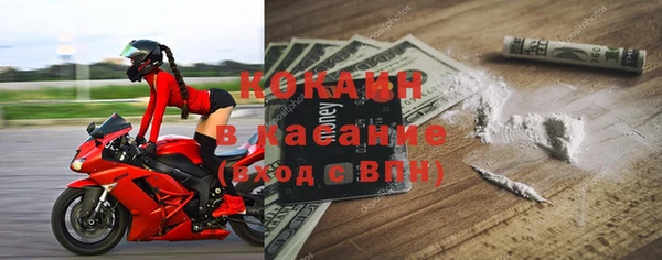 ГАЛЛЮЦИНОГЕННЫЕ ГРИБЫ Семёнов