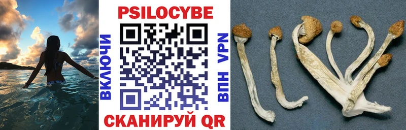 Галлюциногенные грибы Cubensis  Спас-Клепики 
